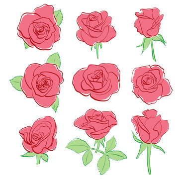 red beautiful roses - vector set - hand-drawing
