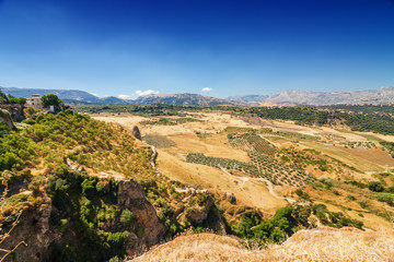 Sunny view of countryside fields near Ronda, Malaga province, Spain.