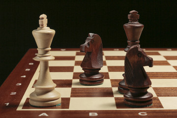 Checkmate with two chess knights © vladphotomoscow