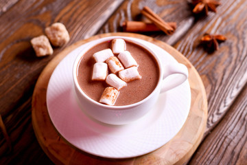 Cocoa drink with marshmallows and cinnamon