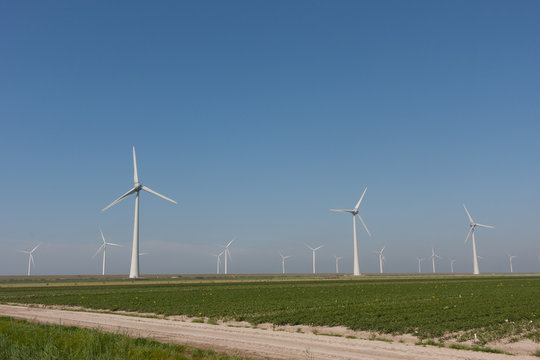 Windturbines producing green alternative energy