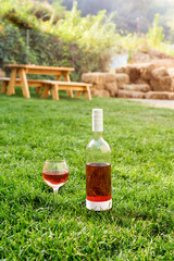 One glass and bottle of red or rose wine in autumn vineyard in green grass. Harvest time, picnic, fest theme.