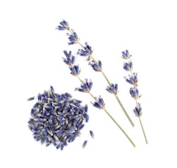 Dry lavender isolated on white background.