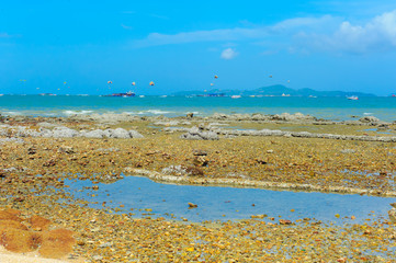 perfect sky and water with reef of ocean Thailand..