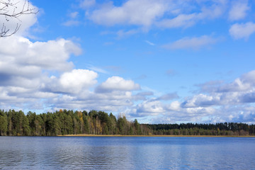 Forest lake in autumn