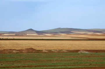 Fototapeta na wymiar blue sky over the vast Mongolian steppes