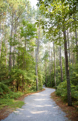 Goose Creek State Park