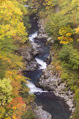 中津川渓谷_0001