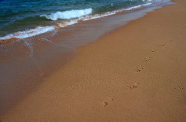 Foot print in the sand at the beach background