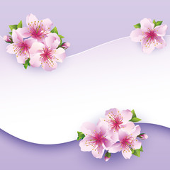 Floral background, greeting card with flower sakura