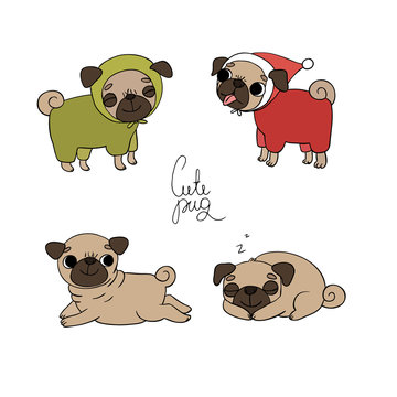 Cute Pugs. Pet clothes.