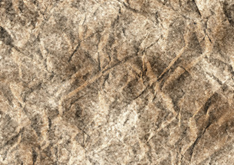 Grunge Paper Texture