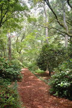 Fort Raleigh National Historic Site