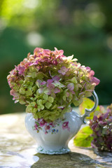 Hortensienblüten in altem Milchkännchen