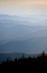 Mount Mitchell State Park