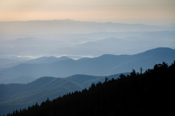 Obraz premium Mount Mitchell State Park