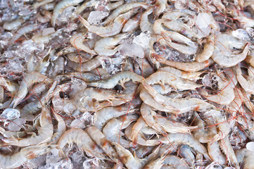 Fresh frozen shrimps on ice for sale at asian seafood market