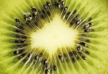 Kiwi fruit slice