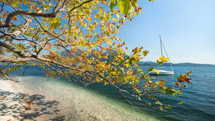 Herbstlich bunter Ahorn am Ufer des Lago Maggiore