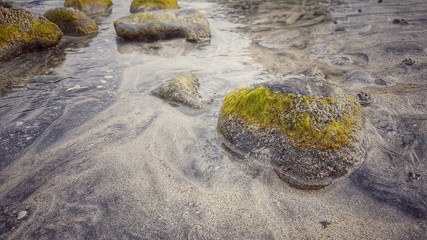 Strand-Hintergrund - Algen