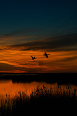 Hecla Island Sunset