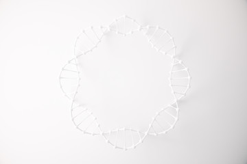 White DNA circle