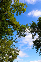 Fototapeta premium Herbst mit wärme von der Sonne