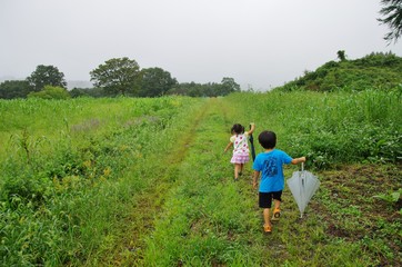 Fototapeta na wymiar 雨の牧場を歩く子ども