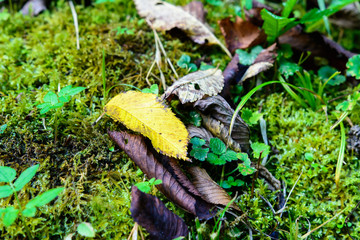 Herbst mit wärme von der Sonne