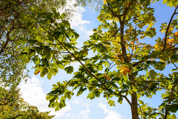 Herbst mit wärme von der Sonne