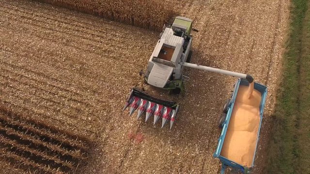 Video Mais Ernte Vollernter beim bef&uuml;llen vom Transport Fahrtzeug