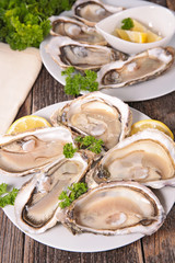 oyster