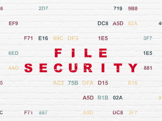Privacy concept: File Security on wall background