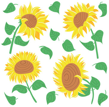 Decorative beauty sunflowers set