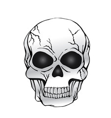 Vector of Black and white human skull with a lower jaw.