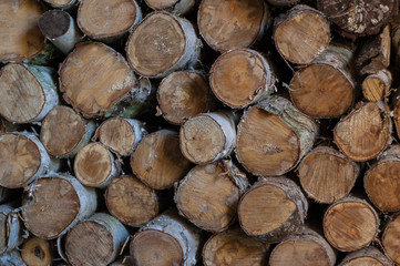 Fototapeta premium Round birch firewood neatly stacked in a shed.