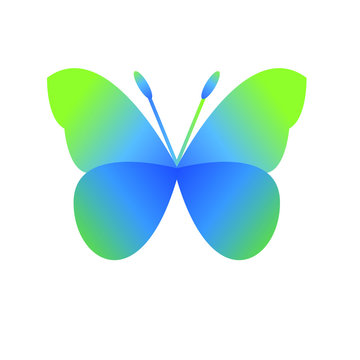 Butterflie Vector