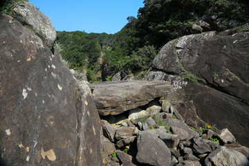 高知県土佐清水市　見残し海岸　バクチ岩