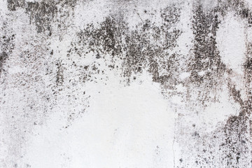 concrete or cement wall texture background