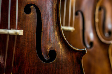 Cello © Marcel