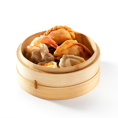 Japanese Style Dumpling