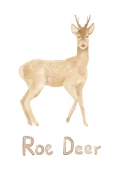 Door stickers Roe Watercolor roe deer hand painted illustration from animals collection