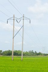 Fototapeta na wymiar high voltage electric line with rice field against blue sky