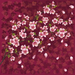 Naklejka premium Japanese background with sakura blossom