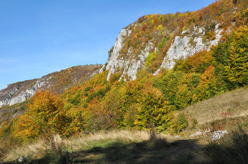 Mountain autumn landscape with colorful forest
