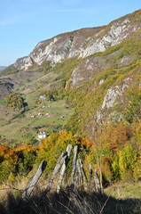 Mountain autumn landscape with colorful forest