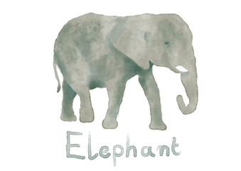 Naklejka premium Watercolor elephant hand painted illustration from animals collection