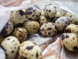 Quail eggs in a plastic bag, ready for cooking.