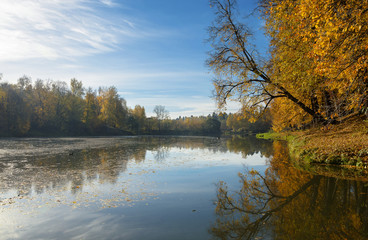 Obraz premium Autumn landscape