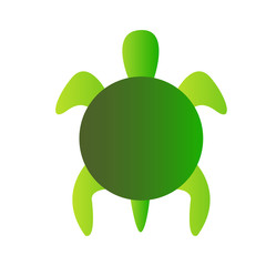 Turtle Vector